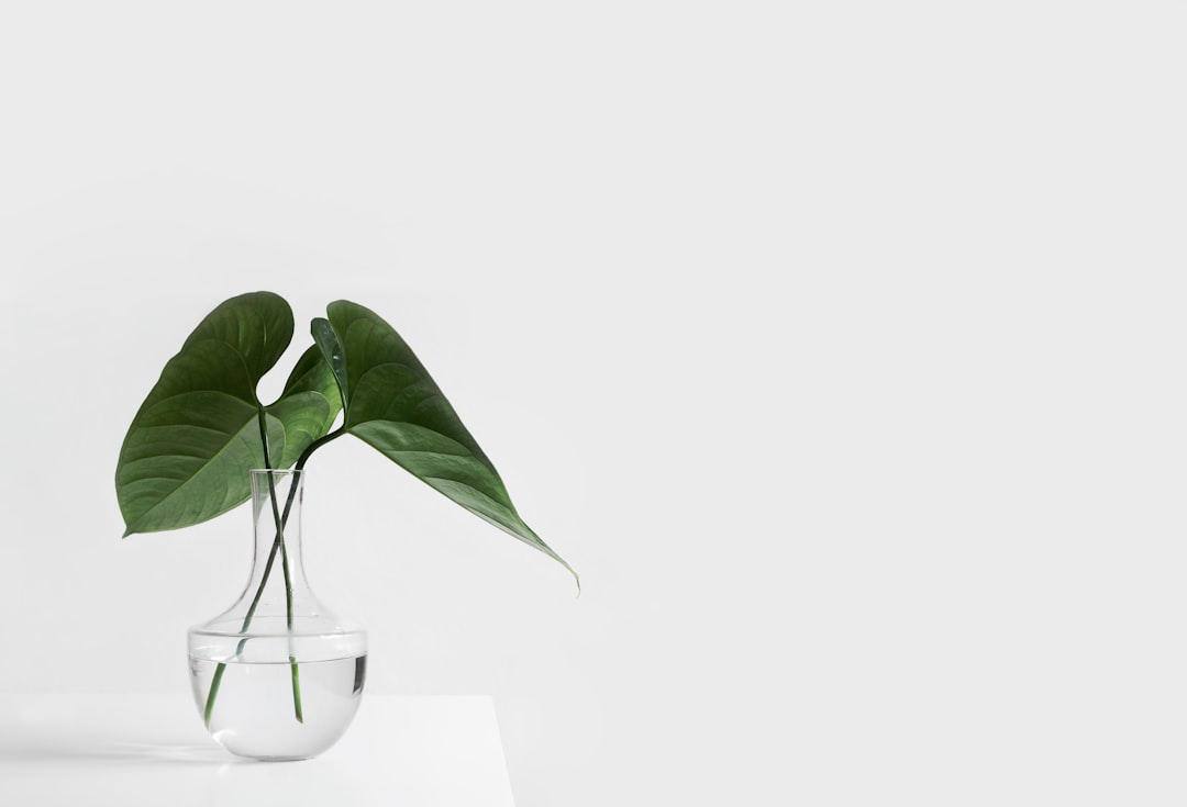 Forvandl Din Virksomhed til en Succesfuld Webshop med Woocommerce