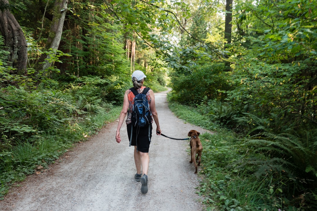Optimal Hundeluftning: Giv Din Hund Den Bedste Oplevelse